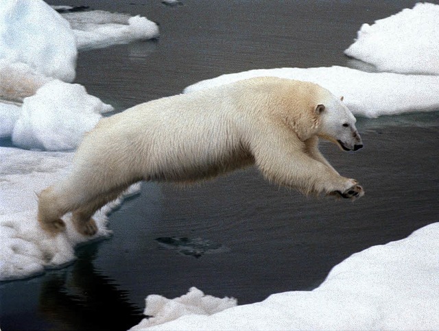   | Foto: A9999 DB Greenpeace