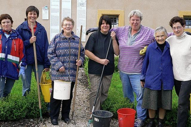 Frauen leisten Gartenarbeit