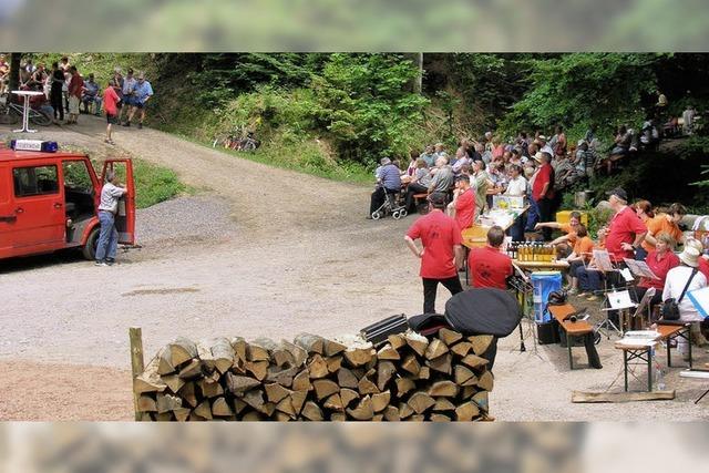 Bilder des Tages: MUSIK UND HOLZ