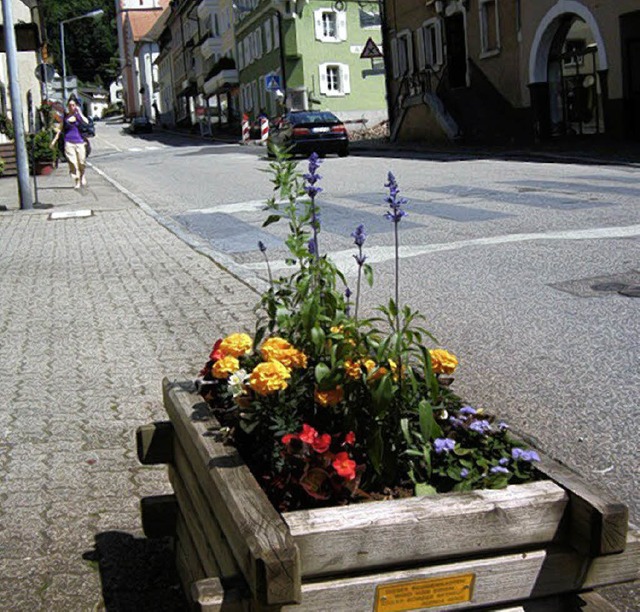 Lasst Blumen  sprechen: Zeller  Gesch...  Bltenpracht  im Zentrum  der Stadt.  | Foto: Privat