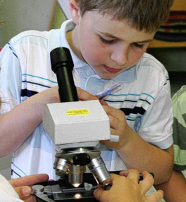 Teamwork am Mikroskop 