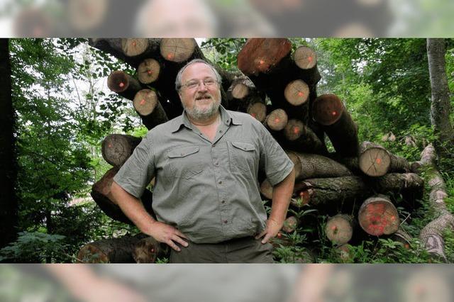 Holzstapel im Entegast-Wald suchen noch Käufer