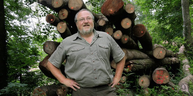 Die Holzstapel im Entegast-Wald haben .... Das Holz soll noch verkauft werden.   | Foto: Marlies Jung-Knoblich