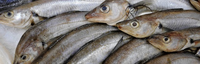 Das Angebot an frischem  Fisch ist jenseits des Rheins unschlagbar.   | Foto: AFP/SCHNEIDER