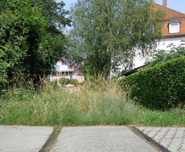 Ehemalige Bahntrasse zwischen Grten: ... Breiten Weg in Richtung Moltkestrae.  | Foto: marius alexander