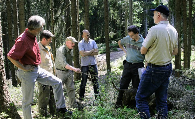 <Bildtext> Einen  Waldbegehung unterna...eindefrster Hubert Kapp.  </Bildtext>  | Foto: Roswitha Klaiber