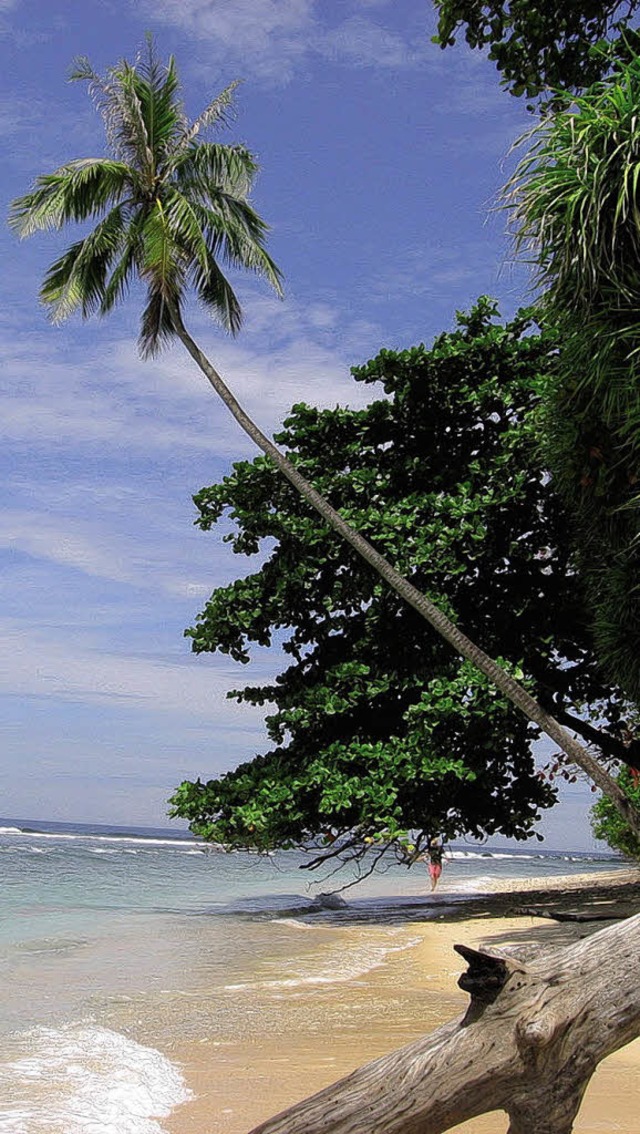 Sehnsuchtsikone des Reisens: der palmengesumte Strand.   | Foto: pro