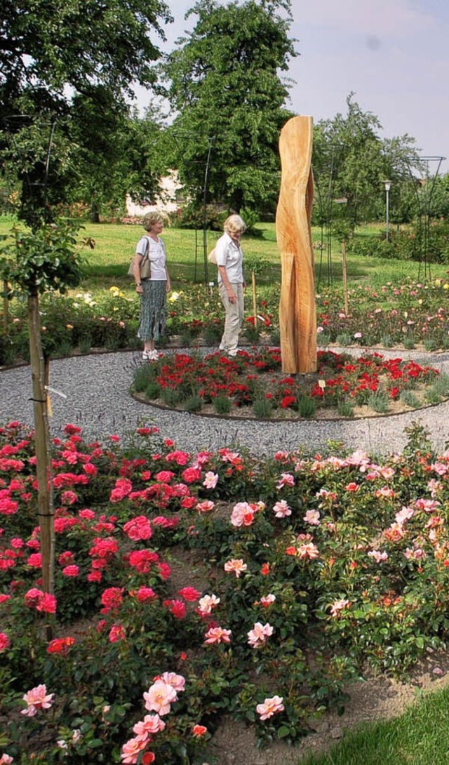 Prchtige, duftende  Rosen gibt es im ...Juli eingeweiht wird,  zu betrachten.   | Foto: Bingold