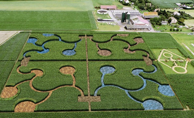 Fr die gesamte Familie: der neue Park Enigmatis in   Ribeauvill   | Foto: promo