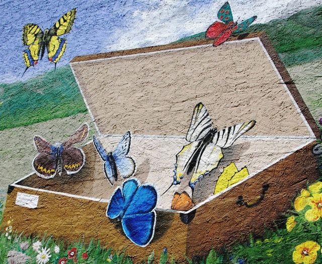 Ein Schatz: Schmetterlinge in Hlle un...   hat   der Maler   Grad  Kraemer.    | Foto: Heike Lemm