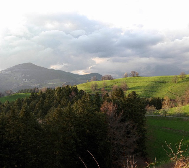 Wald und Weiden, wie  hier  zwischen R...die  Landschaft   im Sdschwarzwald.    | Foto: Paul Berger