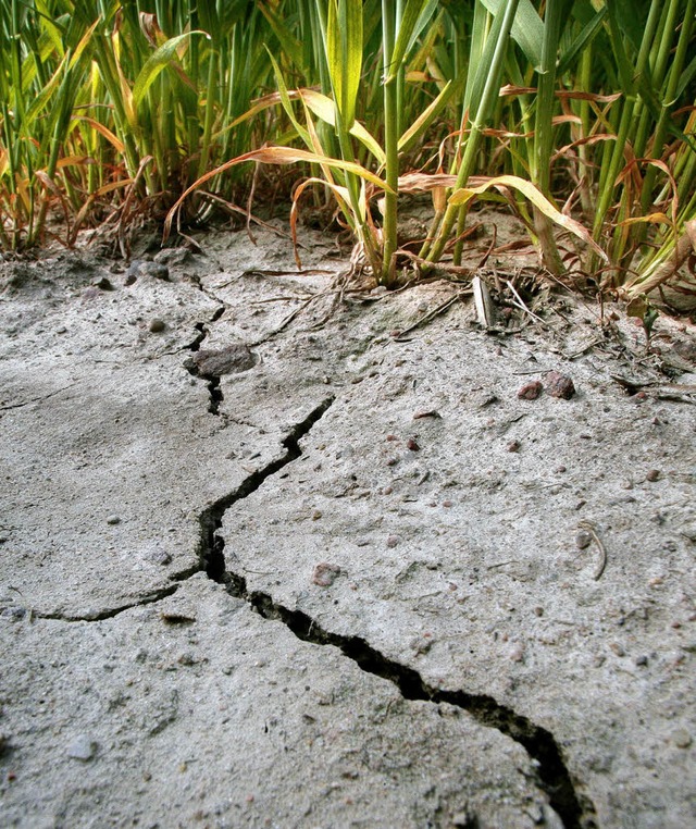 Mal zu viel Wasser und mal zu wenig: E...ndel und seine Folgen fr die Region.   | Foto: dpa