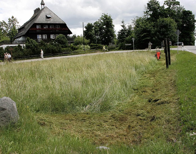 Auf dem Areal sollen rund 16 zustzliche Parkpltze entstehen.   | Foto: CS