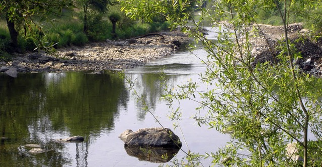 Anschauungsunterricht, wie die Wiese einmal aussah.  | Foto: ehrentreich