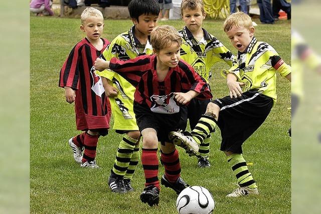 600 Jungkicker im Kampf um die Titel