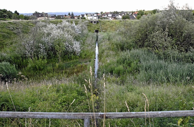 Schutz vor Hochwasser: Am Damm des Rc...r Anforderungen nachgebessert werden.   | Foto: Markus Zimmermann-Drkop