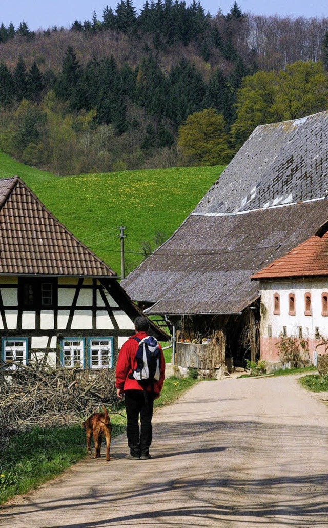 Nur Landwirte drfen im Auenbereich b... von Ferienwohnungen  sind  begrenzt.   | Foto: Silvia Faller