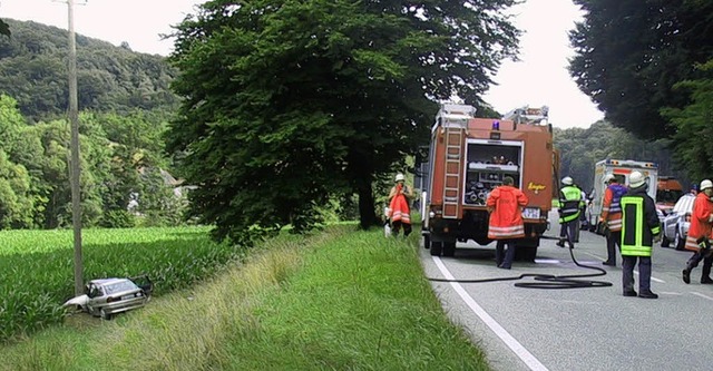 Frontal gegen Masten: Die Fahrerin wurde nur leicht verletzt.   | Foto: Raab