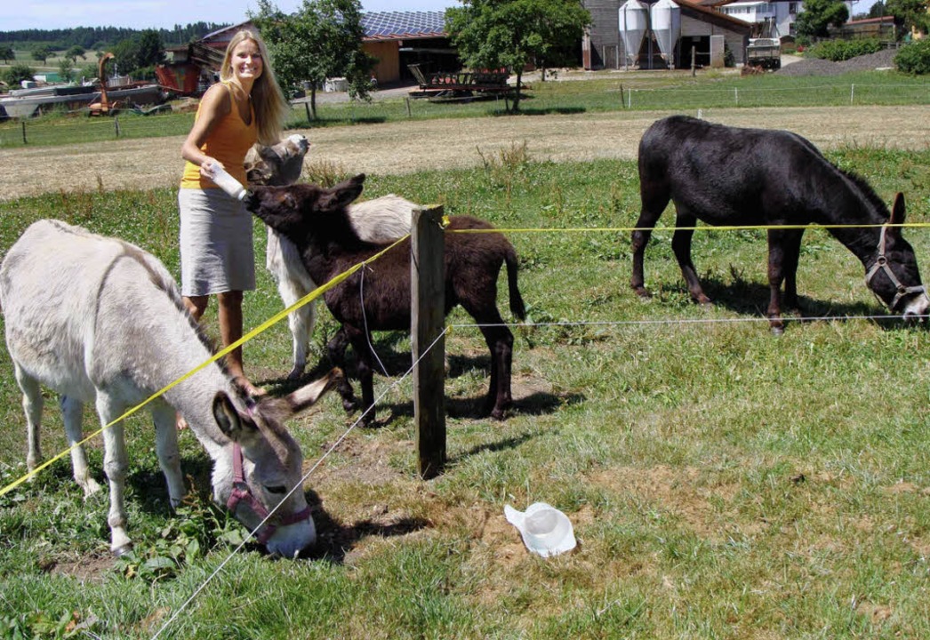 Stolz präsentiert Andrea Warth ihre Eselherde.   | Foto: VETTER
