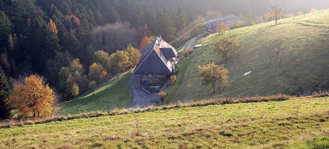 Um die Touristen in die Idylle zu locken, braucht es gute Werbung.  | Foto: Tourismusverein Zeller-Bergland