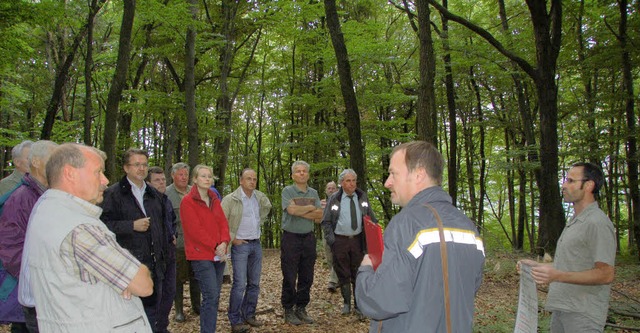 Die nchste Zehn-Jahres-Planung fr de...e Besonderheiten des Walds erklrten.   | Foto: Langelott