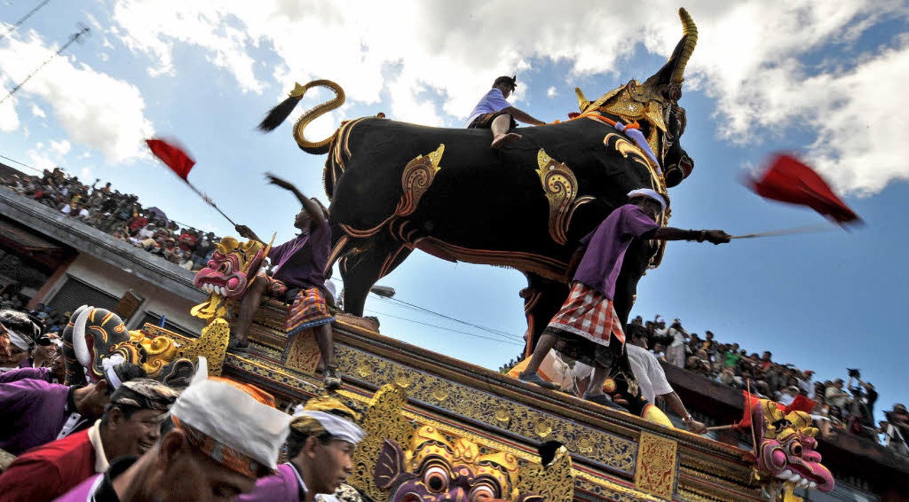 Bilder des Tages GOLDENES KALB? Panorama Badische Zeitung