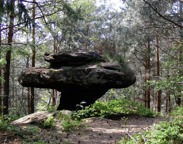 Wunderbare  Natur: der Steinpilz bei Rocher des Dames   | Foto: FOTOS: PASCAL CAMES