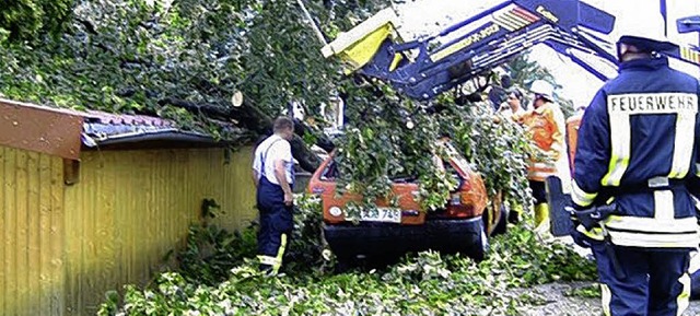 Beim Sturmeinsatz mussten Feuerwehrmn...om Baum demolierte Fahrzeug freilegen.  | Foto: BZ