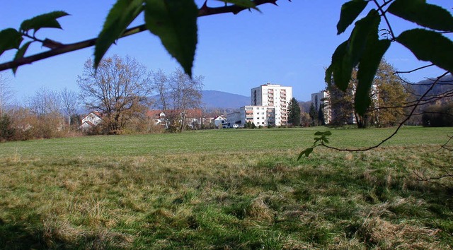 Letzter Blick auf das grne Schlatthol...kann es losgehen mit der Vermarktung.   | Foto: Andr Hnig