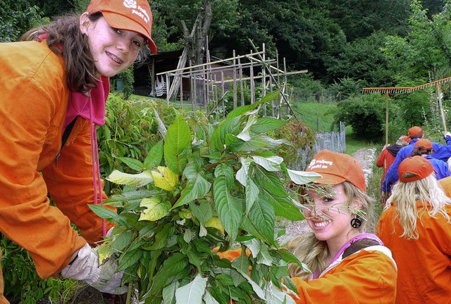 Die High-School-Schlerinnen Mandy Har...tplatz wuchernde Indische Springkraut.  | Foto: Andreas Braun