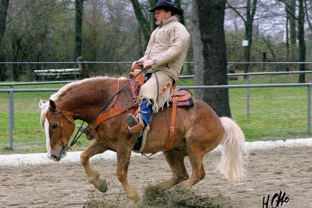 Westernreiten in Altdorf