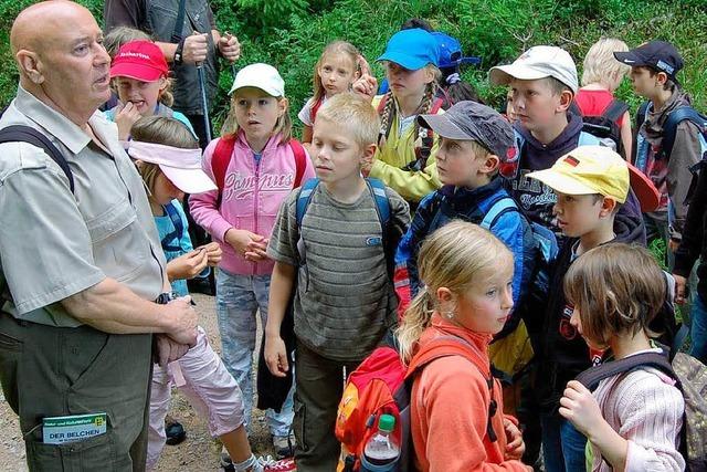 Nachhilfe in Naturkunde