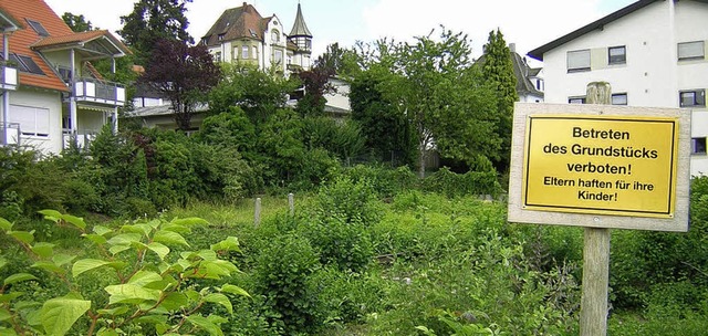 Baulcken gibt es   noch in hoher Zahl in Emmendingen, offenbarte eine Studie.   | Foto: Gerhard Walser