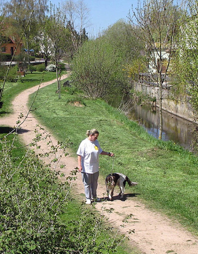 Der Hochwasserschutz am Brunlinger Brndbach muss ein weiteres Jahr warten.   | Foto: MAIER