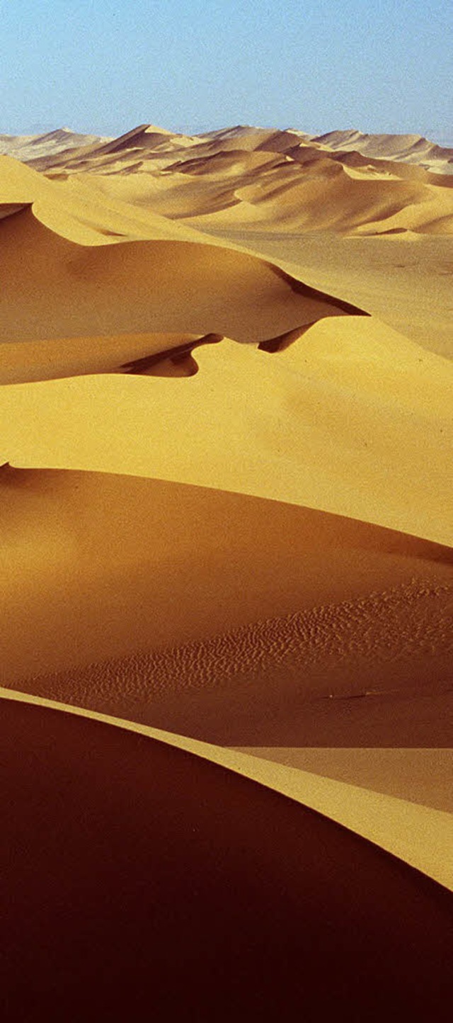 Viel Platz fr Solaranlagen und Sonne satt: die Sahara.   | Foto: gms