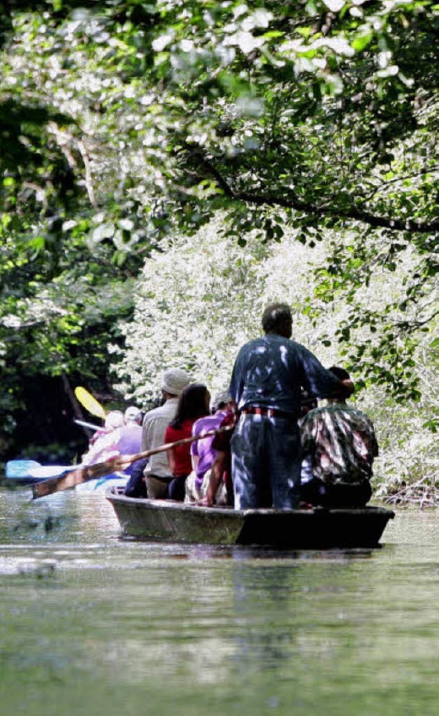 Eines der Angebote im Ferienprogramm: ...Fischerkhnen durch den Taubergieen.   | Foto: dpa