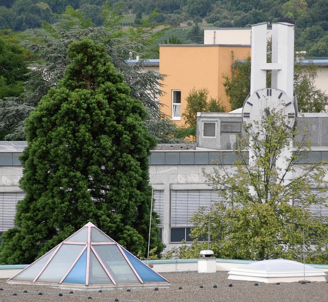 Noch kann man das Rathaus hinter den O...nnte es damit aber bald vorbei sein.   | Foto: Lauber