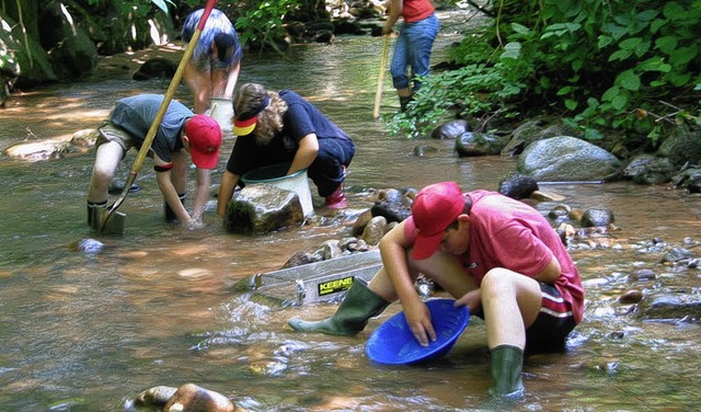 Die  Minifossis haben schon manches Goldkrnchen gehoben.  | Foto: BZ