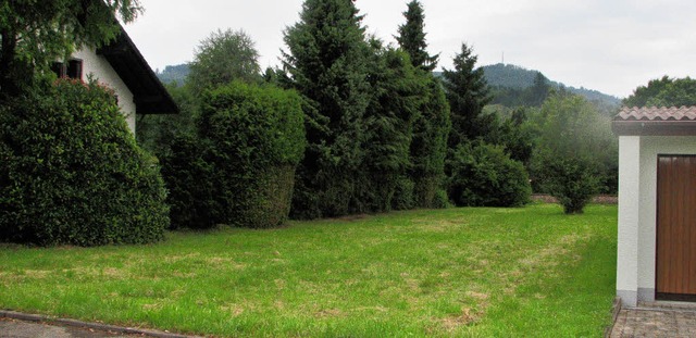 Auf wenig Gegenliebe der Nachbarn st...cks  an der Wallbacher Gartenstrae.   | Foto: Hildegard Siebold