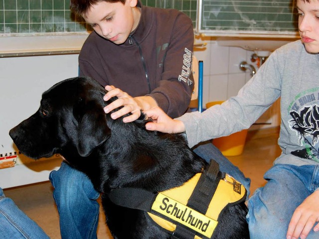 Schulhund &#8222;Anjo&#8220; bei der Arbeit.  | Foto: Privat