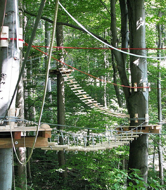 Ein Besuch im  Klettergarten Lrrach g...ights im Eimeldinger Ferienprogramm.    | Foto: BZ