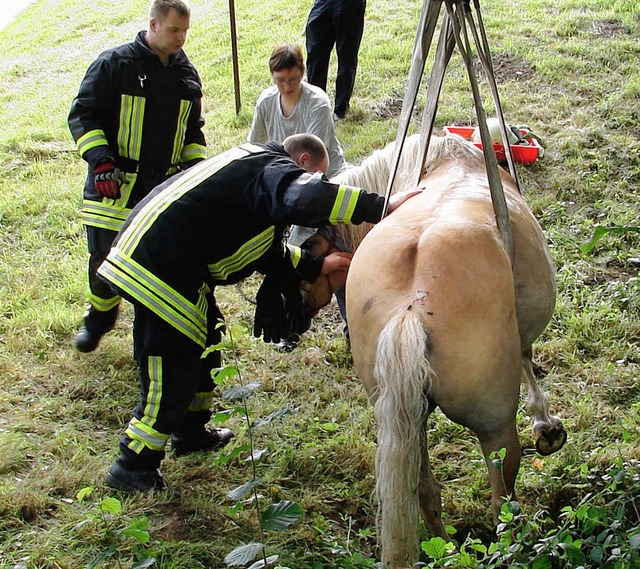 Ohne Hilfe htte dieses Pferd es nicht...rwehr und Baggerbetrieb befreiten es.   | Foto: Feuerwehr Waldkirch