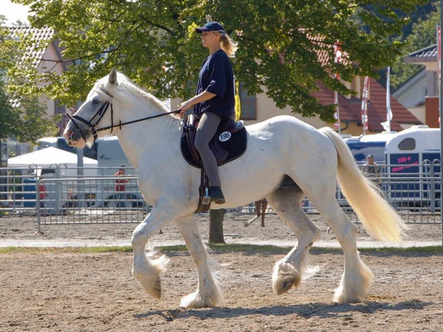 Pferd und Reiter &#8211; gemeinsam auf der Eurocheval.  | Foto: Andre Zipf