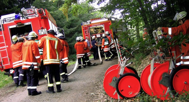 Was tun, wenn der Wald brennt? Die Feu...r von Friesenheim  probierten es aus.   | Foto: David Frick