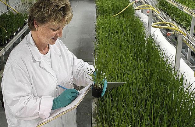 Auch das Kompetenzzentrum in Stein mit...sitiven Entwicklung bei Syngenta bei.   | Foto: syngenta