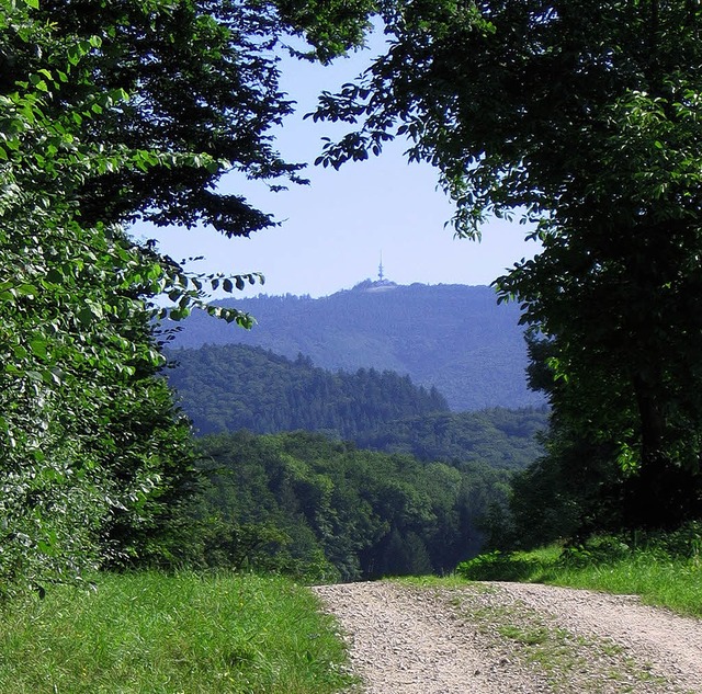 Der Weg als Ziel: Blauenblick    sdlich von Sitzenkirch.   | Foto: Markus Maier