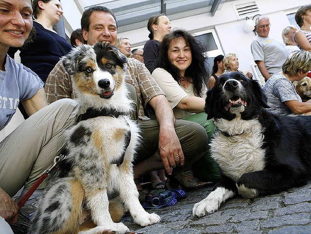 Lernbegierig und neugierig: Hund und F...chulung als Helfer in der Altenpflege.  | Foto: christoph Breithaupt