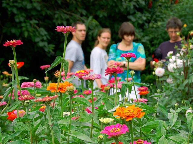 Bauerngarten des Breitehofs in Stegen  | Foto: Claudia Fler