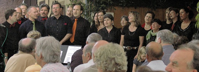 Der Chor des Landratsamtes hatte seine...s am Samstagabend beim Hofsngerfest.   | Foto: Kornelia Schiller