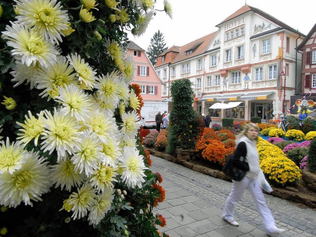 Die Chrysanthema in Lahr ist zwar etwa...n Sonntag, so das Regierungsprsidium.  | Foto: Michael Bamberger